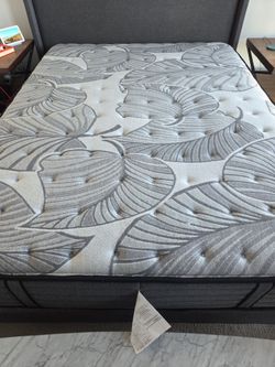 Sealy Queen Mattress
