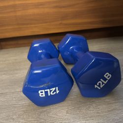 12 lb Dumbbells (Pair – Blue)