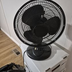 2 Fans