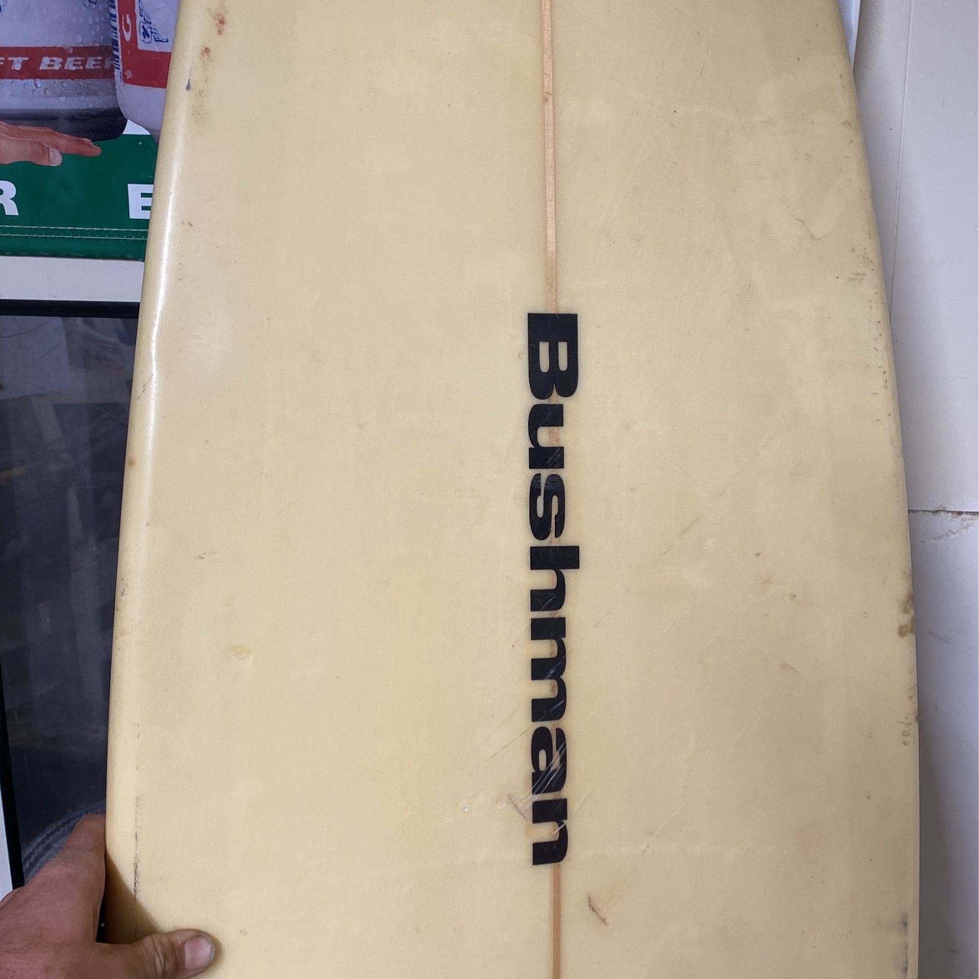 Bushman ファンボード veinz 湘南6'6ftサーフボードミッドレングスショートファンボード