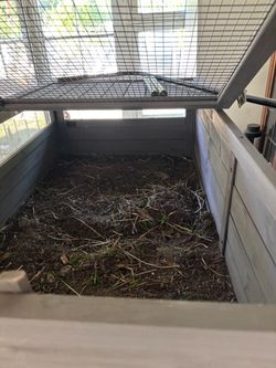 Tortoise house
