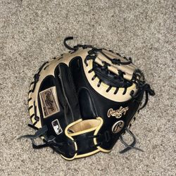 Catchers Glove 