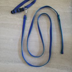 Dog Leach And Collar 