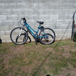 Adult Bike /Bicicleta Para Adultos