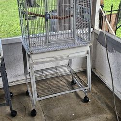 Bird Cage