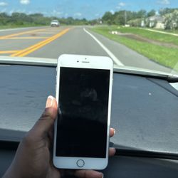 iPhone 6 Plus