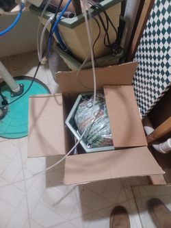 Hydroponics Equipment Chemicalsbeads Planters Everything Needed