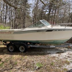 81  Grady White With Trailer 