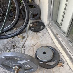 Curl Bar And Weights