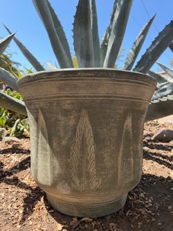 Extra Large Fern Pot Planter