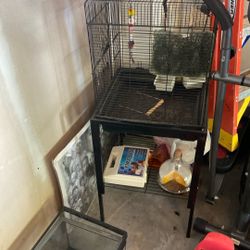 Bird Cage