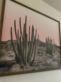 Framed cactus wall art