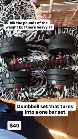 Dumbbell set