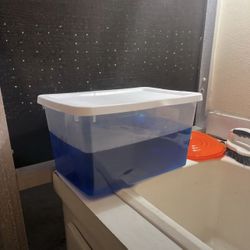 Copper Electroplating Solution 