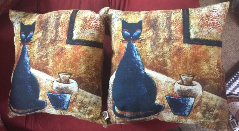 Cat pillows