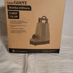 Little Giant Pump 