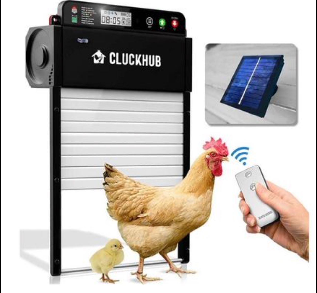 automatic chicken door