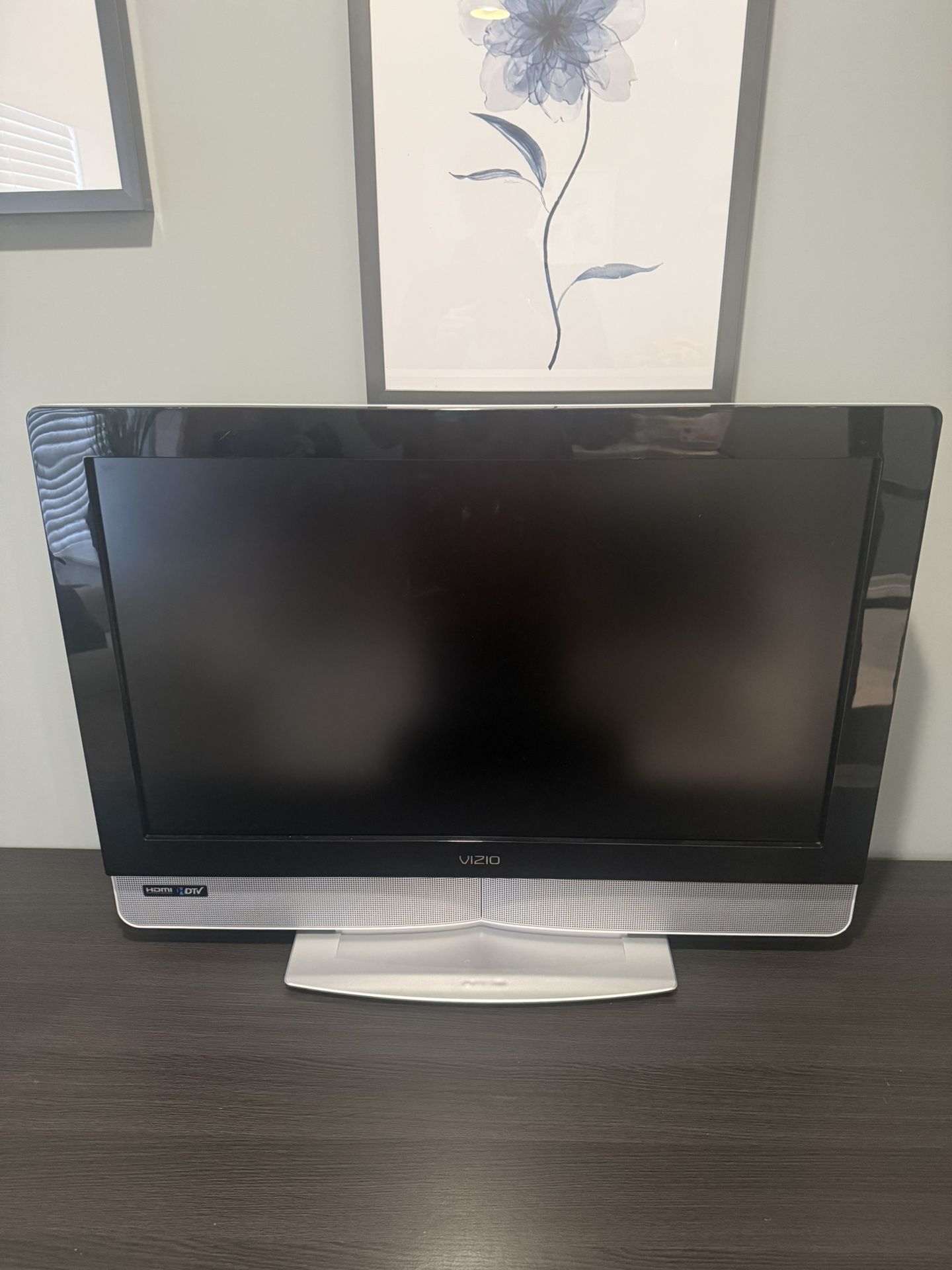 Vizio Tv