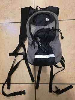 Hiking day pack adjustable