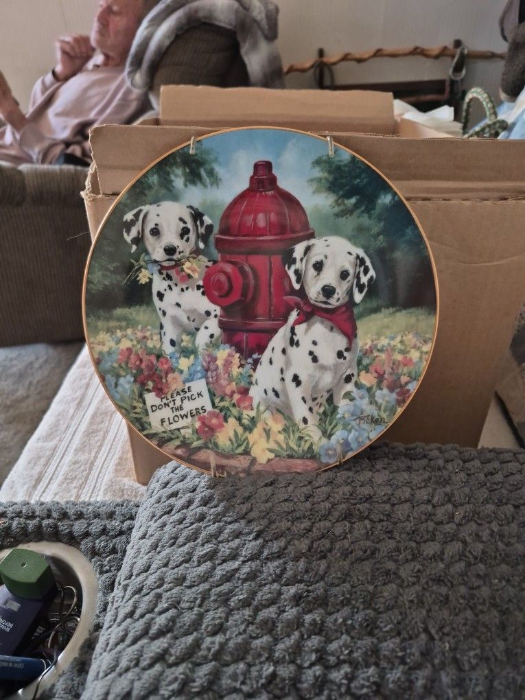 This Is A Collection Plate. The Year  1993. Please Don't  Pick The Flowers