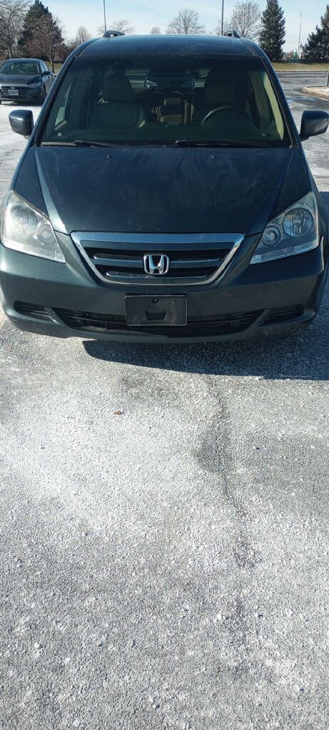 Honda Odysseys