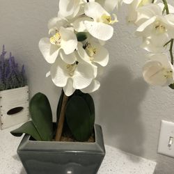 Fake Flower Plant 