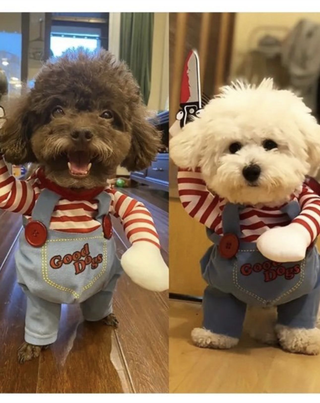 Chucky Costume Dogs