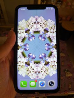 iPhone 11 pro max