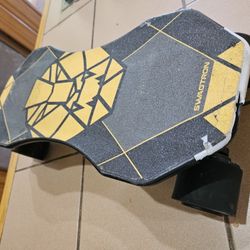 Swagton Electric Skate Board