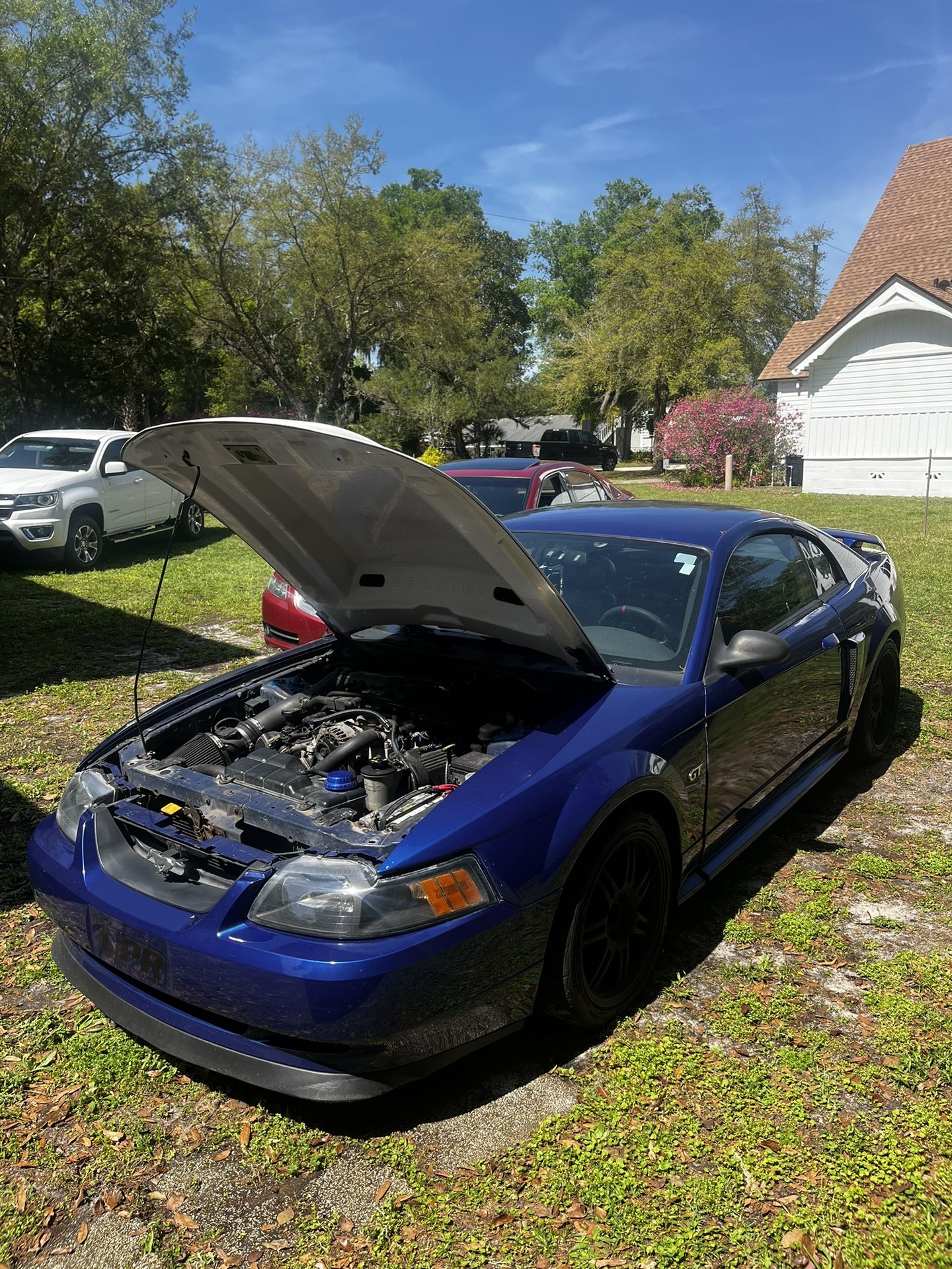 Mustang Gt