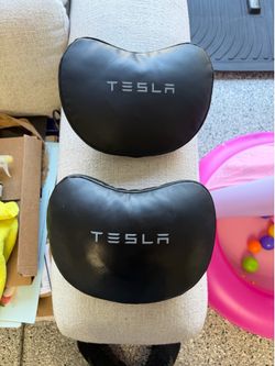 Tesla head pillows