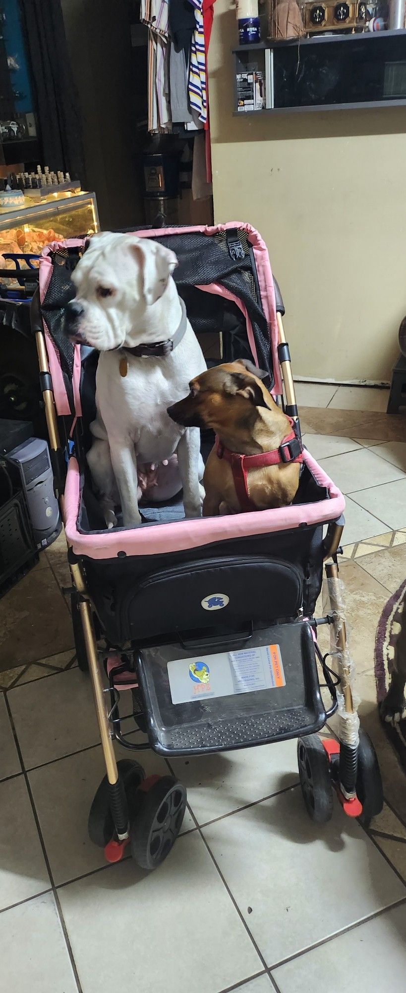 HPZ PREMIUM AMERICA (ROVER EXTRA LARGE DOG STROLLER)