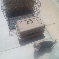 Dog Cages