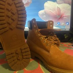 Timberlands 6inch 
