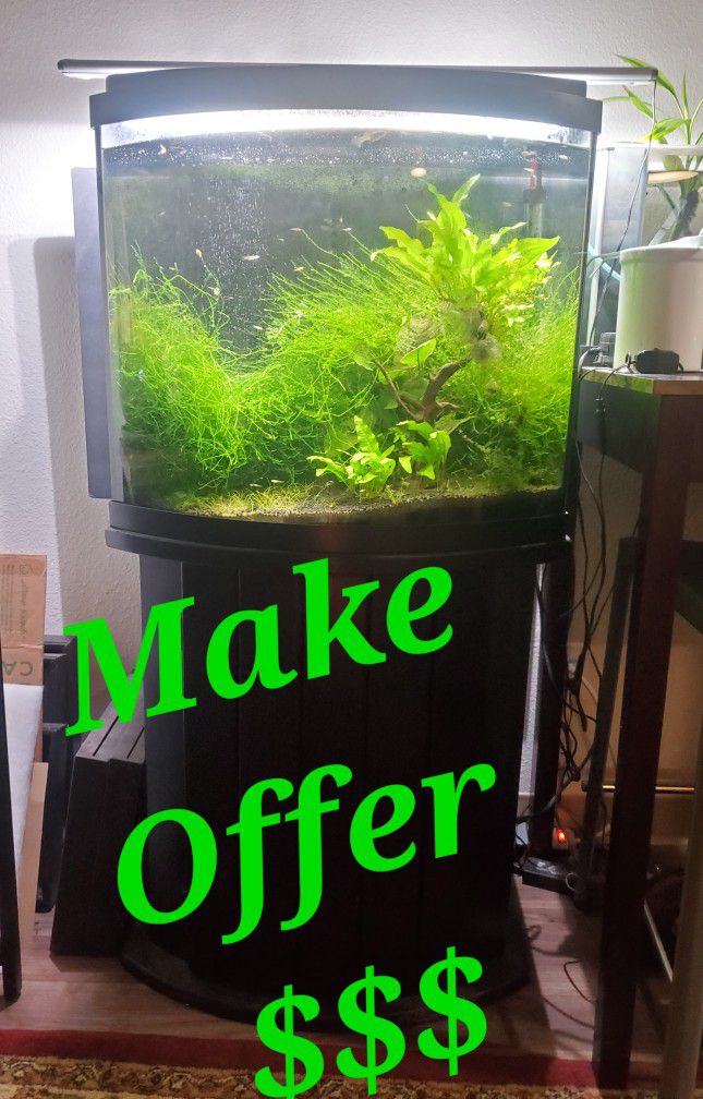 29 Gallon Bowfront Fish Tank With Stand