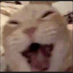 Pokemon For sell Check my profile!!