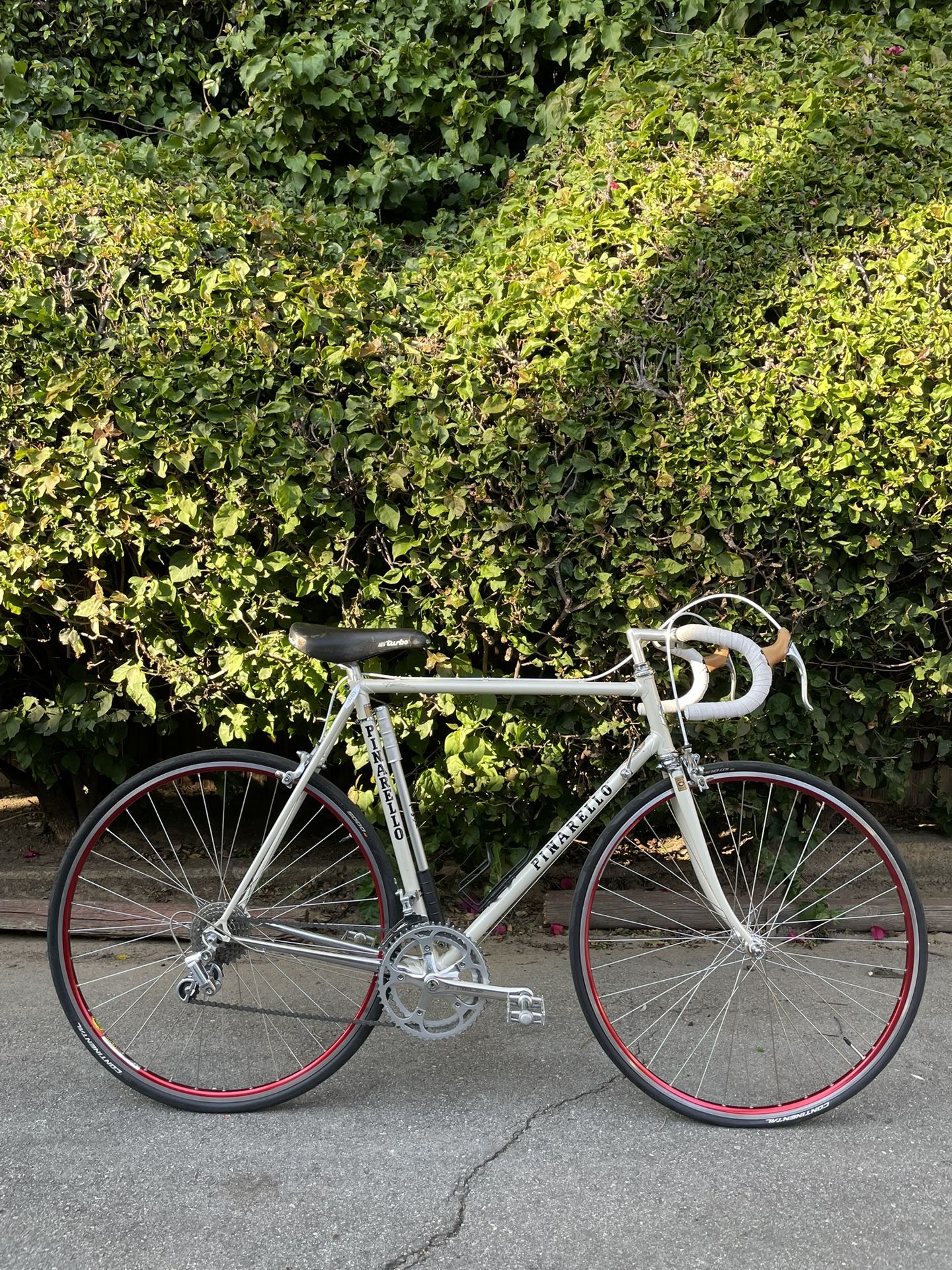 Vintage Pinarello Treviso Road Bike