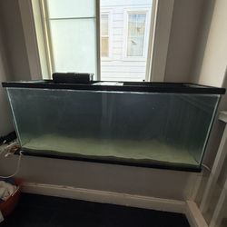 $50 130 Gal Tank - 60" long x 18" width