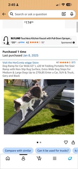 Dog ramp