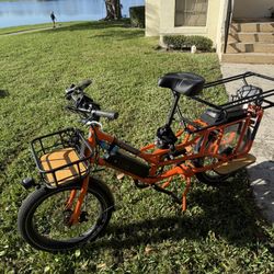 Radwagon Electric Bike Rad Power Bike XL 