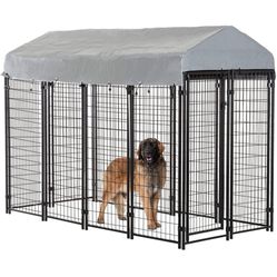 Large Dog Kennel And crate 