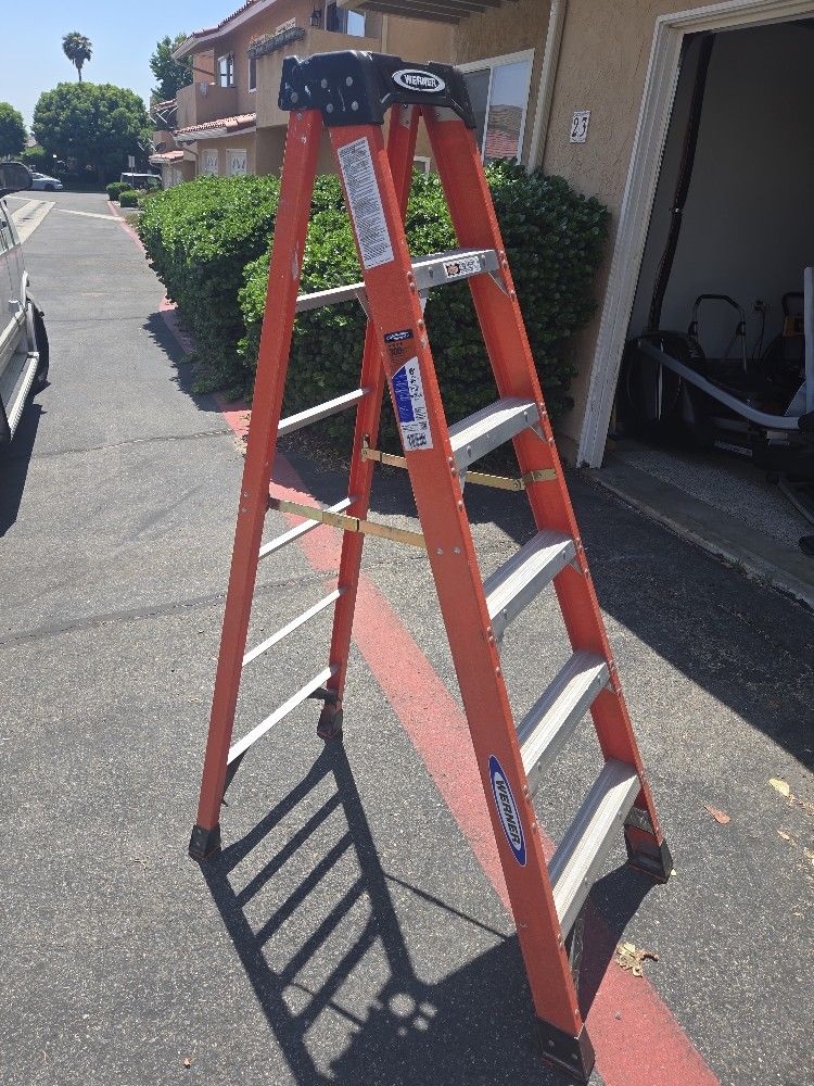 Werner 6' Ladder
