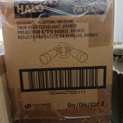 Twin Head Outdoor Light