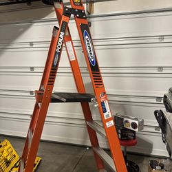 $100 Ladder