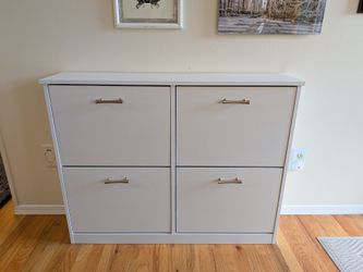 Wayfair Shoe Cabinet