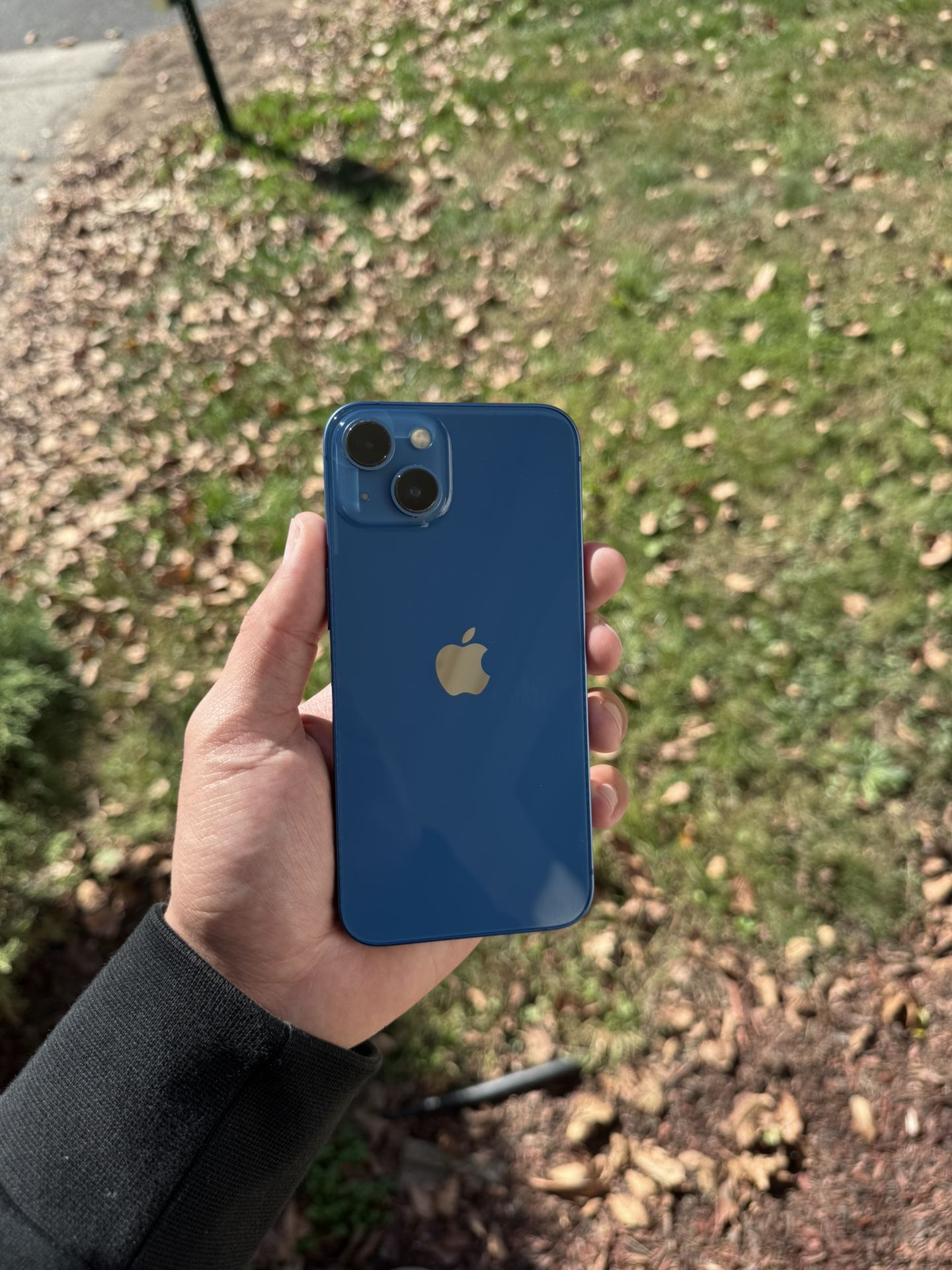 iPhone 13 128gb Unlocked