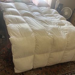 Northers Lights Bed Pillow