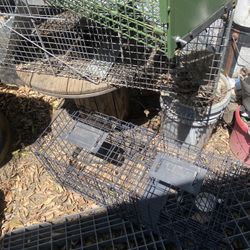 Animal Humane Traps -various Types & Sizes-STARTING @ Only $20/each
