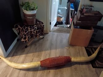 Bull horn and table set