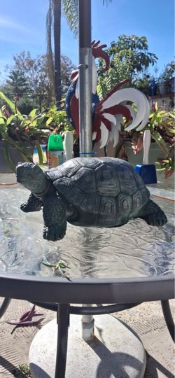 Turtle